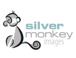 Silver Monkey Images